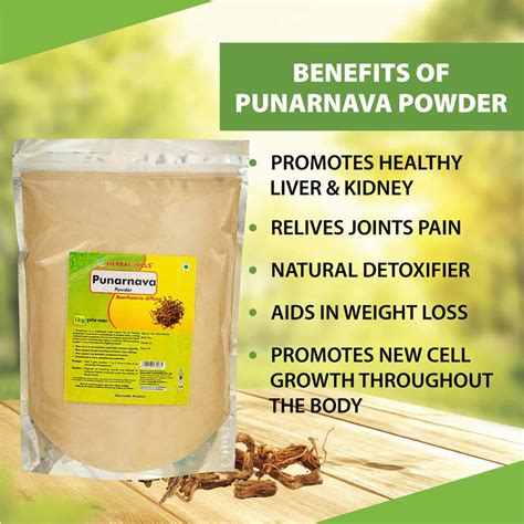 Buy HERBAL HILLS PUNARNAVA POWDER 1000 GM Online & Get Upto 60% OFF at ...