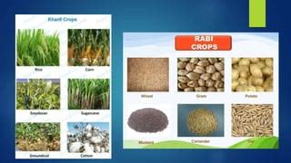 Image result for Class 8 Science Chapter 1 Flow Chart