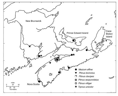 Generalization of backpropagation with application to a recurrent gas market model | Zenodo