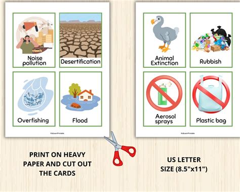 Environment Flashcard 的图像结果