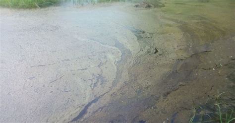 Tamil Nadu: ONGC’s operations have polluted environment in Thanjavur’s ...