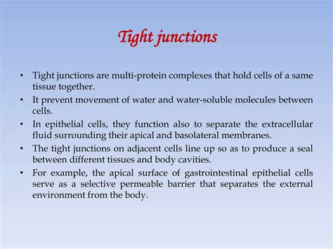 Cell-Cell Interaction 的图像结果