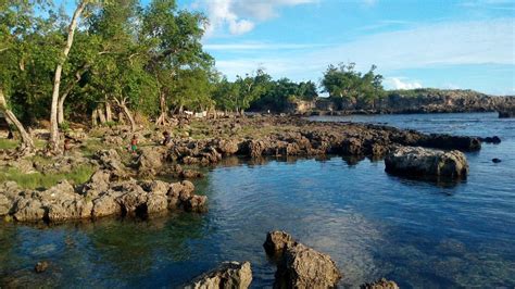SUNSET BUNGALOWS (Lenakel) - Guesthouse Reviews & Photos - Tripadvisor