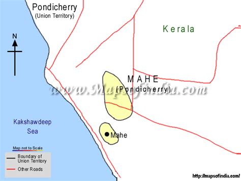 Mangroves of Pondicherry