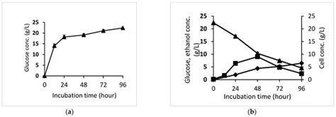 An Integrated Process for the Xylitol and Ethanol Production from Oil ...