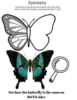 Image result for Butterfly Drawing Tutorial