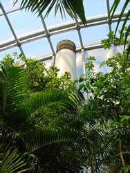 ZooLex Exhibit - Masoala Rainforest