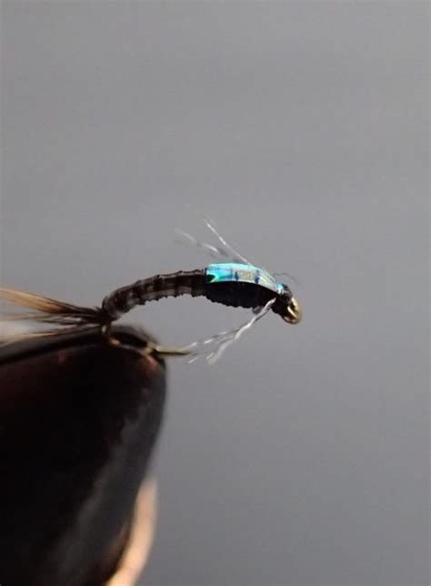 Image result for Muskin Fly Pattern