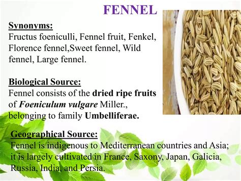 4.volatile oils | PDF