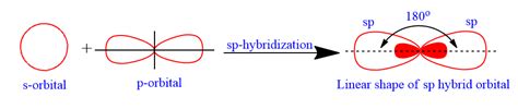Image result for Hybridization Examples