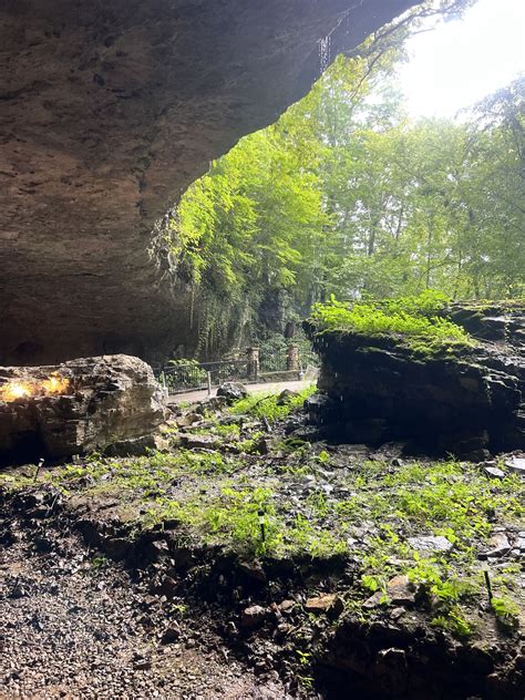 Sequachee Valley Electric Cooperative on LinkedIn: We had a wonderful ...