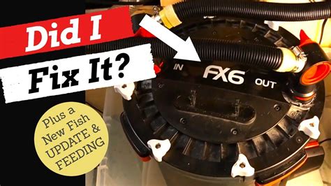 Image result for External Fish Filter Calcium Buildup