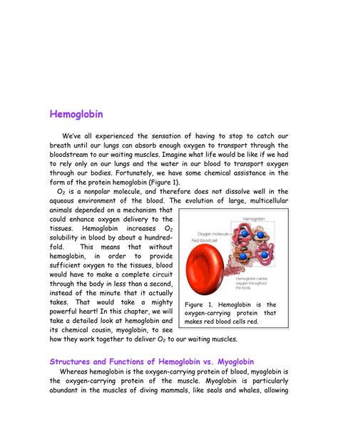 SOLUTION: Structures and Functions of Hemoglobin vs. Myoglobin - Studypool