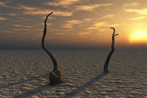 9 Unclaimed Islands In The World That You Can Claim As Your Own