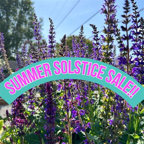 Summer Solstice Sale!!, 3327 SE 50th Ave., Portland, OR, 22 June to 23 ...