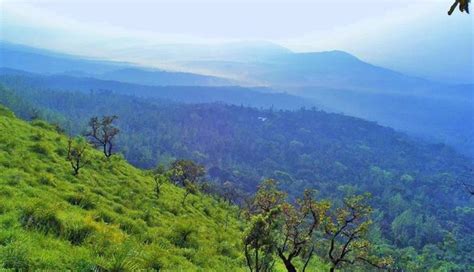5 Amazing Things You Can Do in Chikmagalur - lifeberrys.com