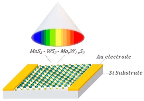 Photodetection Properties of MoS2, WS2 and MoxW1-xS2 Heterostructure: A ...