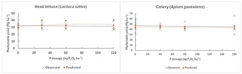 Vegetable Response to Added Nitrogen and Phosphorus Using Machine ...