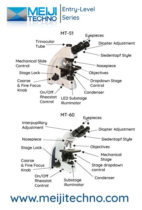 Microscope Terminology 的图像结果