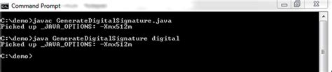 Java Setting for Digital Signature 的图像结果
