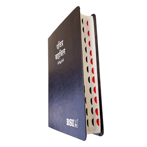 BSI Hindi Bible | In Multiple Color | With Thumb Index | Golden Edge ...