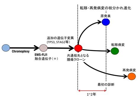 Image result for Server License Key On Paper Example