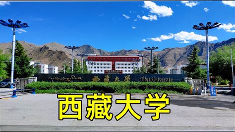 西藏大学-掌上高考