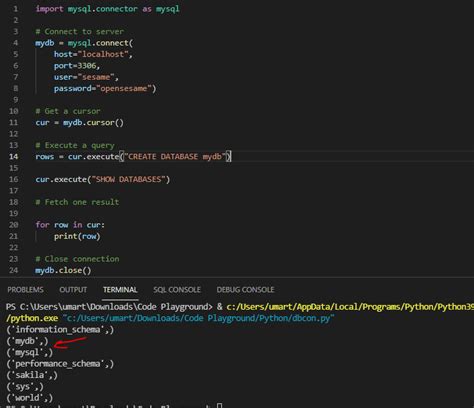 Image result for Python MySQL Queries