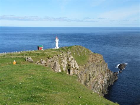 Islands Coin Script 的图像结果