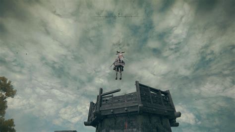 Image result for Great Turtle Shell