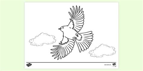 Flying Bird Colouring Page | Colouring Sheet (teacher made)