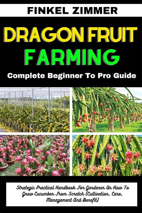 DRAGON FRUIT FARMING: Complete Beginner To Pro Guide: Strategic ...