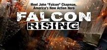 Falcon rising movie review