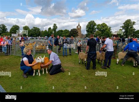 Perth Show 的图像结果