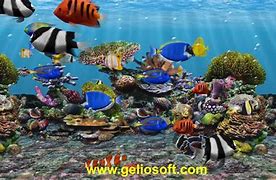 Animated Fish Tank Screensaver Images Nomor Siapa