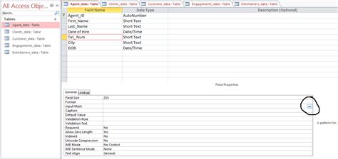 Image result for Microsoft Access Create an Input Mask Email Field
