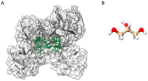 Modulation of Protein Dynamics by Glycerol in Water-Soluble Chlorophyll ...