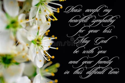 Image result for Computer Screen Sticker