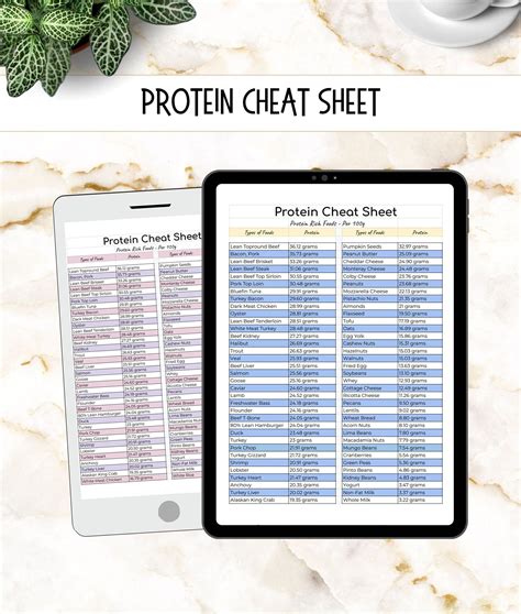 High Protein Food List: Colorful Diet Cheat Sheet (PDF Download) | High protein foods list ...