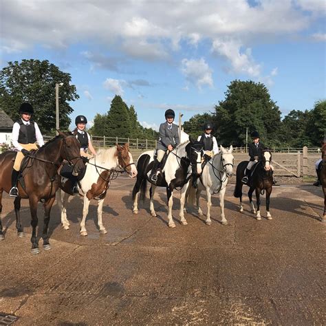 OAKLAND'S RIDING SCHOOL (2026) All You Need to Know BEFORE You Go (with ...