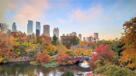 New York Fall Screensavers