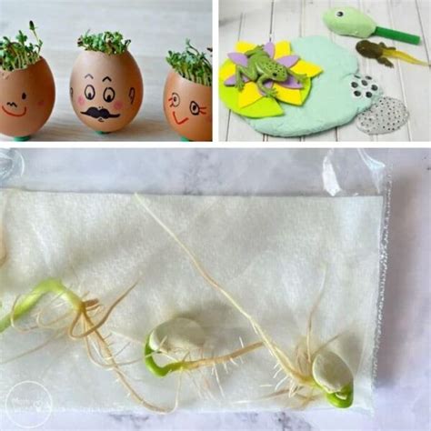 Image result for Spring Science Activities