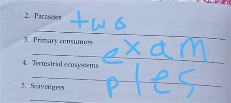 write two examples .. - Brainly.in