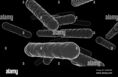 Image result for Scanning Electron Microscope Animation