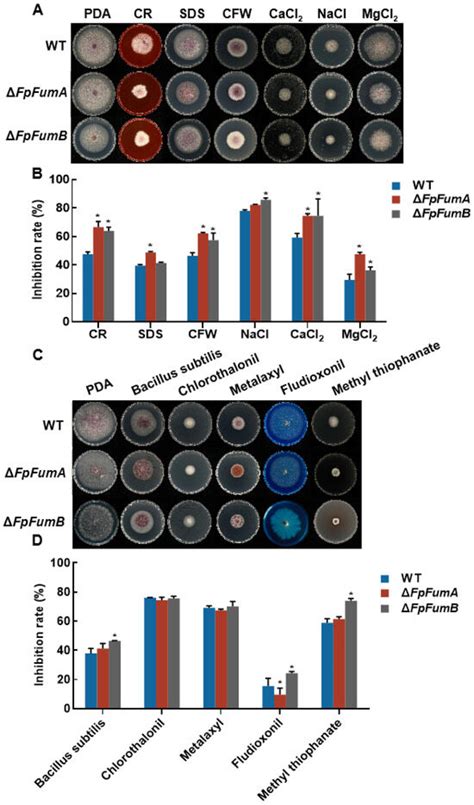 FpFumB Is Required for Basic Biological Processes and Virulence in ...
