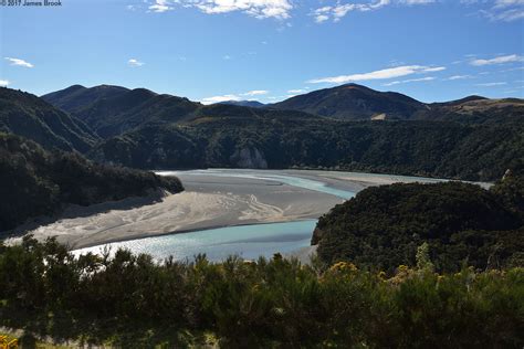 Image result for Springfield NZ