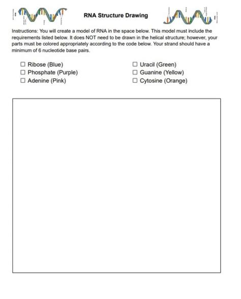 RNA Structure Drawing 的图像结果