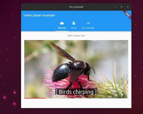 Image result for Flutter VLC