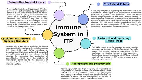 The Many Faces of Immune Thrombocytopenia: Mechanisms, Therapies, and ...