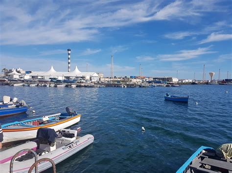 FISH MARKET (Updated 2026) All You Need to Know BEFORE You Go (with Photos)